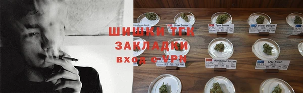 ГАЛЛЮЦИНОГЕННЫЕ ГРИБЫ Алексин