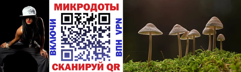 Псилоцибиновые грибы мицелий  кракен ТОР  Шелехов 